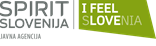 Spirit logo